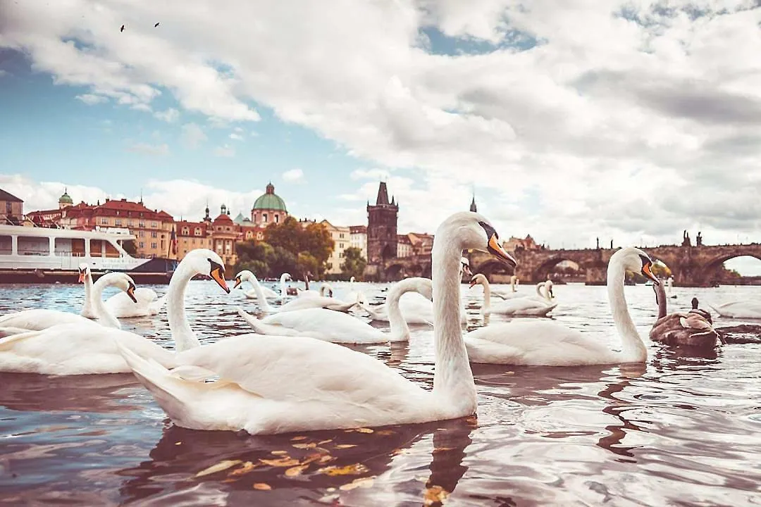 Quiet Apartment With Balcony Charles Bridge Praga Repubblica Ceca